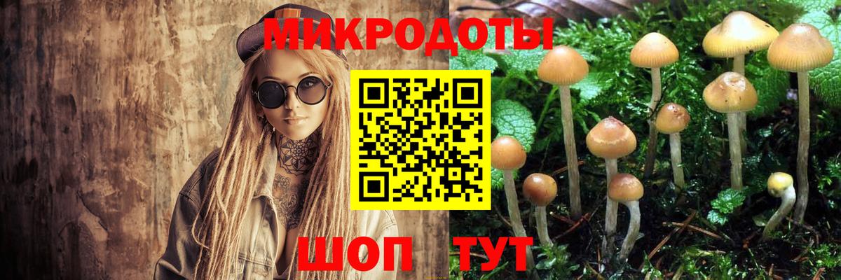 Псилоцибиновые грибы MAGIC MUSHROOMS  Вход с VPN  Дубна  Псилоцибиновые грибы Psilocybine cubensis 