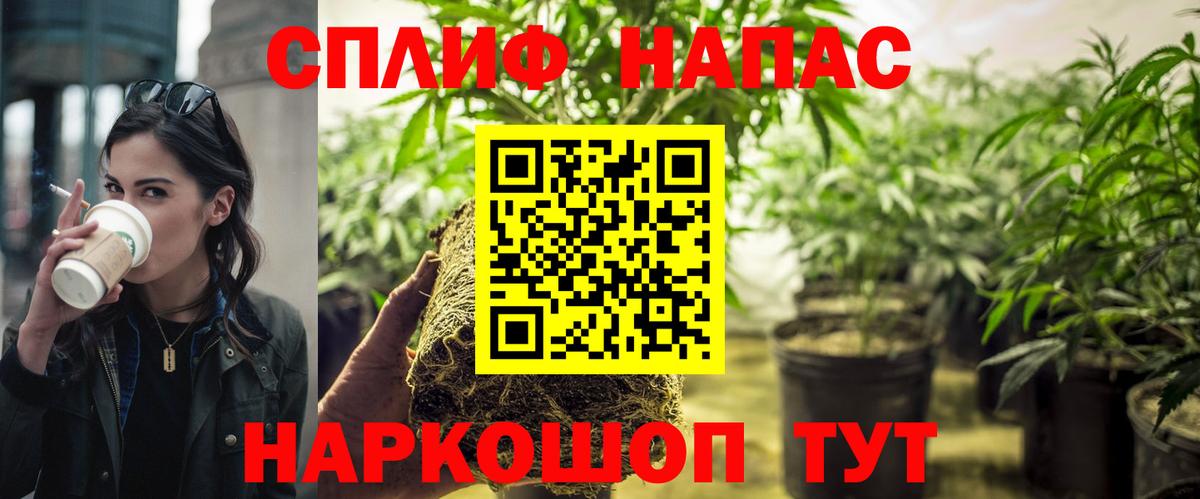 Канабис AK-47  Каннабис план  Вход с VPN  МАРИХУАНА гибрид  Конопля White Widow  Дубна 